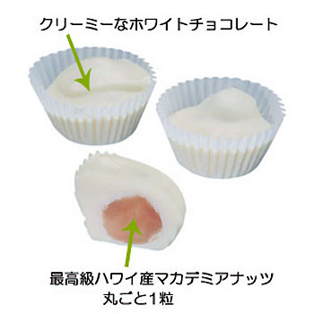 製菓品/
HAWAIIAN HOST ホワイトチョコレート 3.5oz