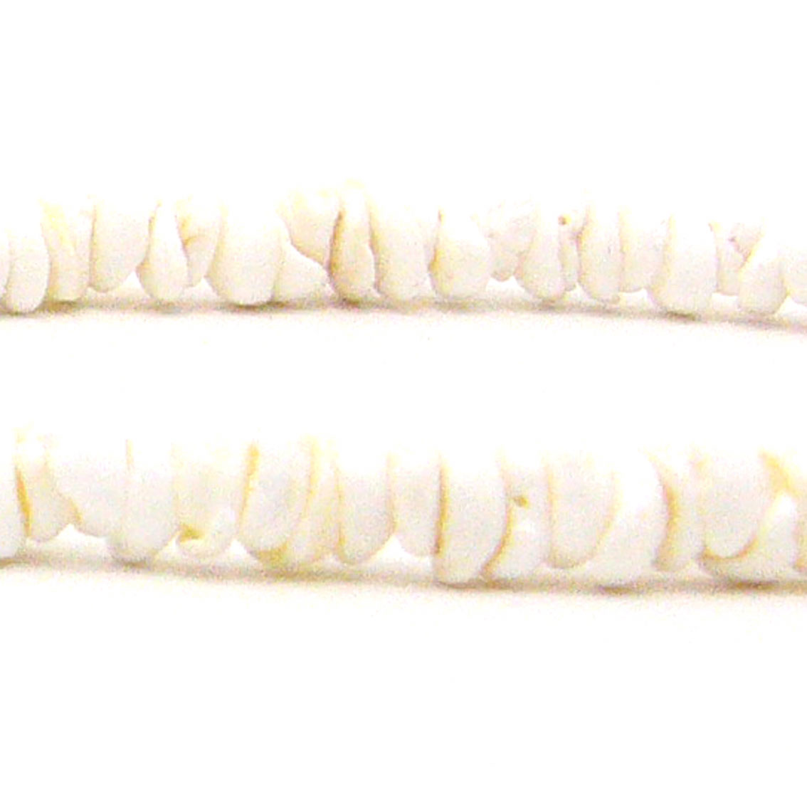 Puka Shell Necklace  XS(40cm)^nCAANZT[^VF^VFlbNXEy_g