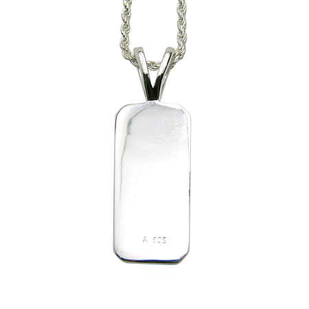 S/S Honu  Plate Pendant Top^nCAWG[^Vo[^Vo[lbNXEy_g